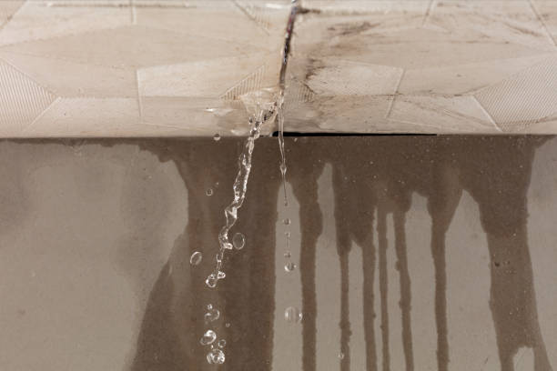 Professional Water Damage Repair technician working in Sewanee, TN